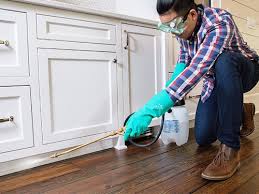 Best Pest Exclusion Services  in Dawson Springs, KY